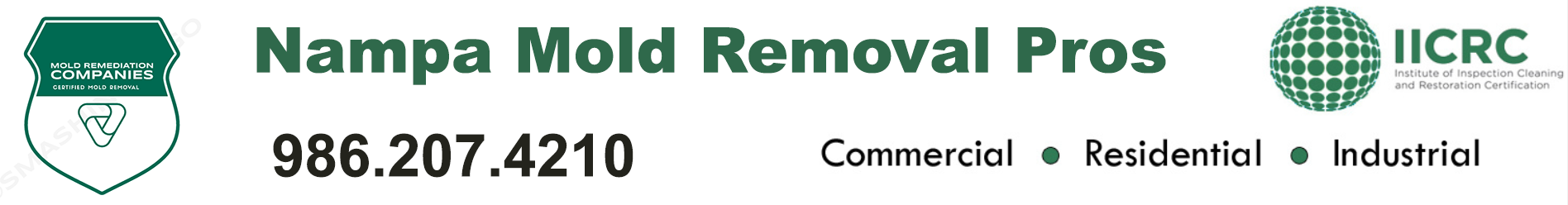 Nampa Mold Removal Pros