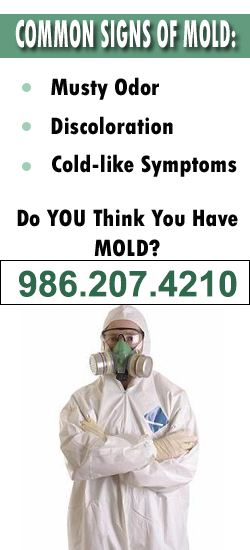 Nampa Mold Remediation Contractor